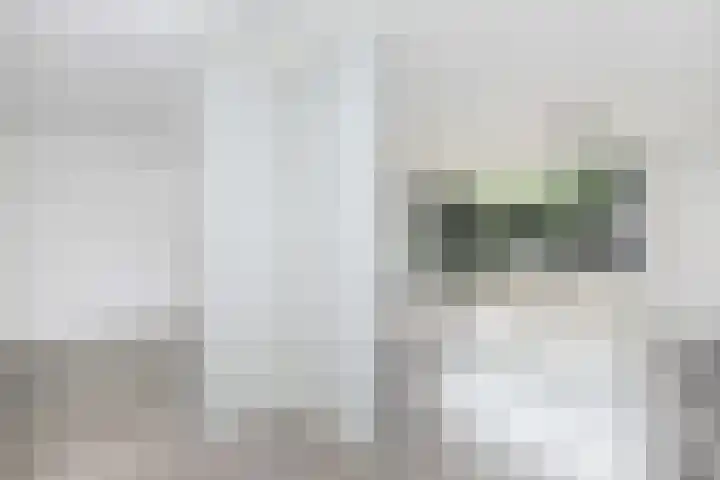 Atlasvlinder 2 Amersfoort thumbnail 15