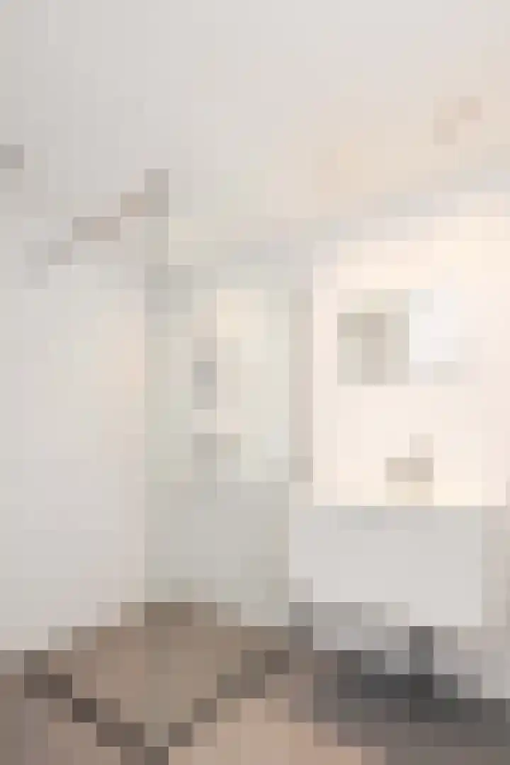 Atlasvlinder 2 Amersfoort thumbnail 18