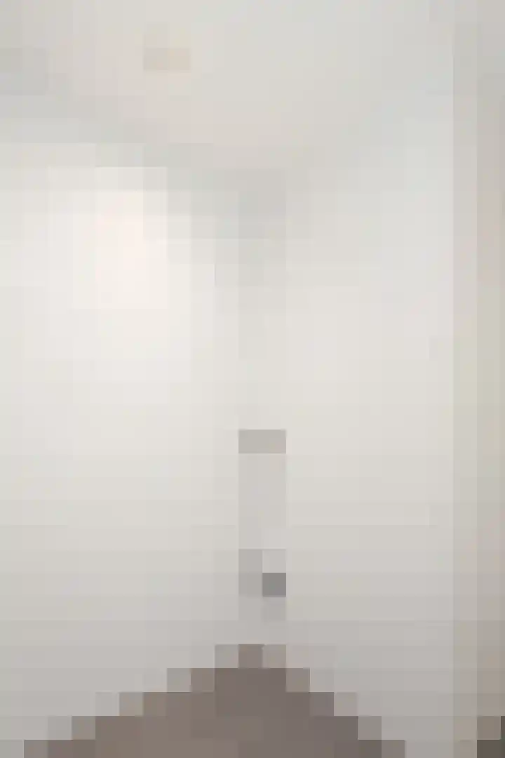 Atlasvlinder 2 Amersfoort thumbnail 19