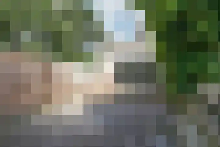Atlasvlinder 2 Amersfoort thumbnail 21