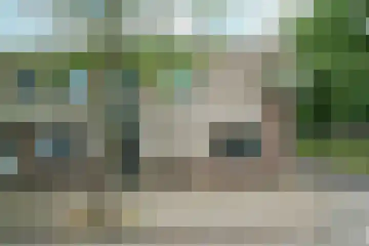 Atlasvlinder 2 Amersfoort thumbnail 22