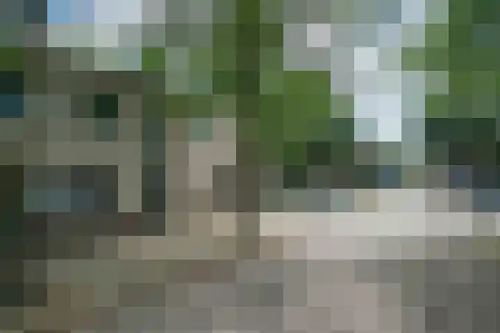 Atlasvlinder 2 Amersfoort thumbnail 23