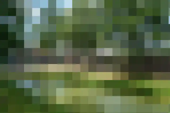 Atlasvlinder 2 Amersfoort thumbnail 25