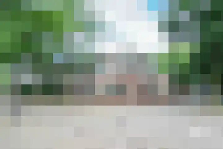 Atlasvlinder 2 Amersfoort thumbnail 30