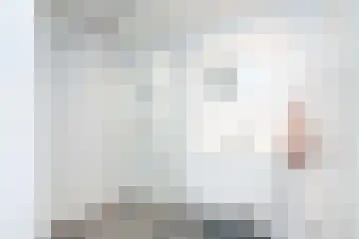 Atlasvlinder 2 Amersfoort thumbnail 4