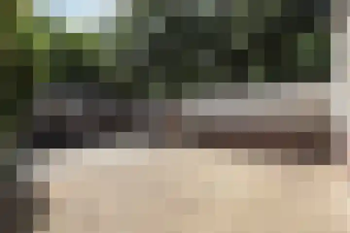 Atlasvlinder 2 Amersfoort thumbnail 5
