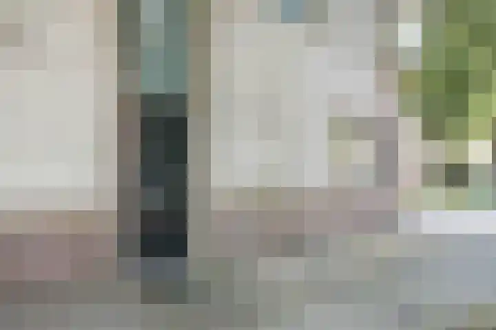 Atlasvlinder 2 Amersfoort thumbnail 6