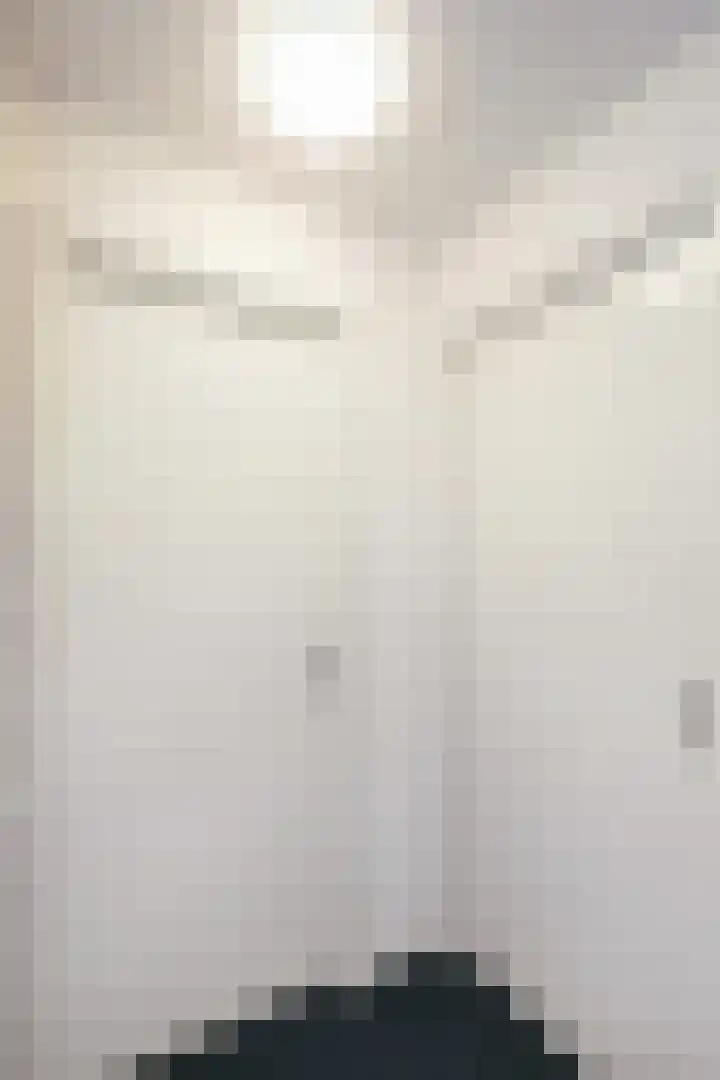 Atlasvlinder 2 Amersfoort thumbnail 7