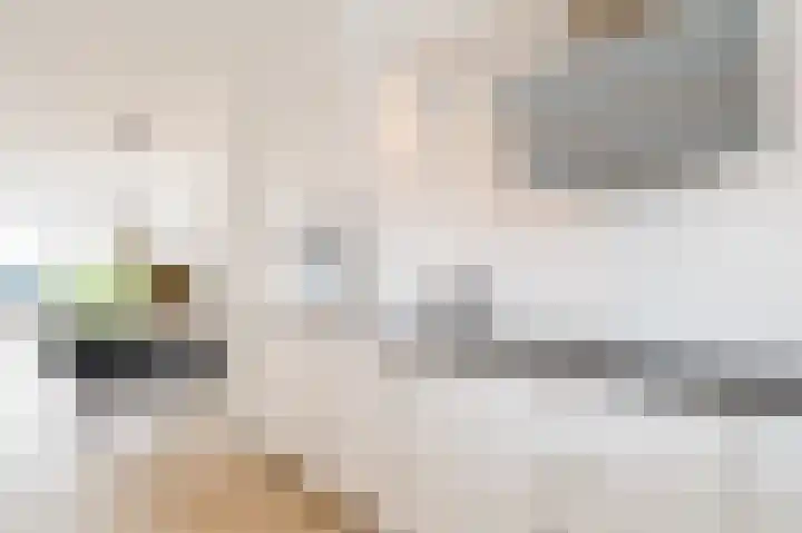 Atlasvlinder 20 Amersfoort thumbnail 10