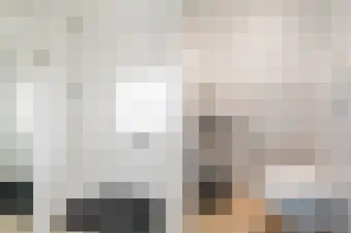 Atlasvlinder 20 Amersfoort thumbnail 12