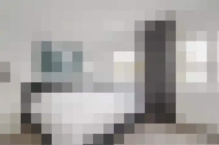 Atlasvlinder 20 Amersfoort thumbnail 14