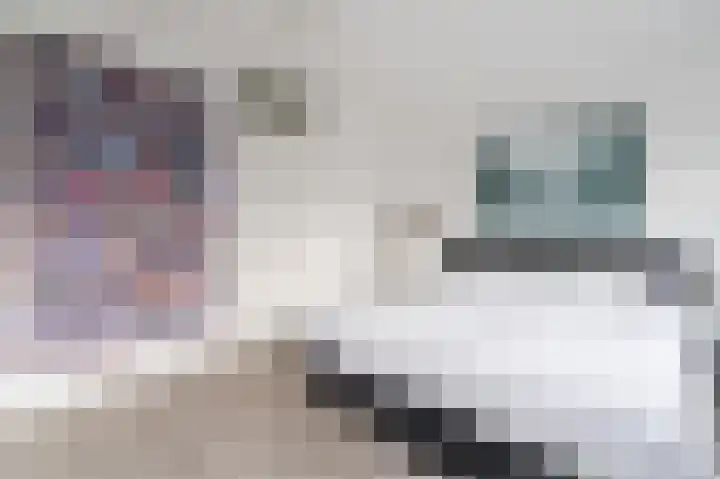 Atlasvlinder 20 Amersfoort thumbnail 15