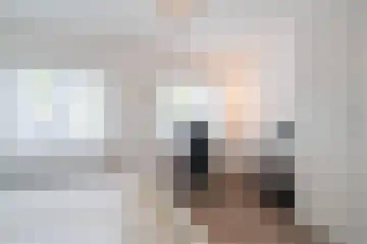 Atlasvlinder 20 Amersfoort thumbnail 16