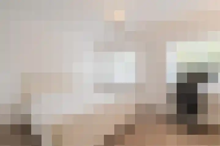 Atlasvlinder 20 Amersfoort thumbnail 17