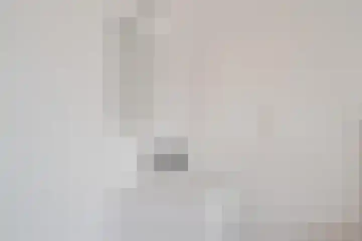 Atlasvlinder 20 Amersfoort thumbnail 18