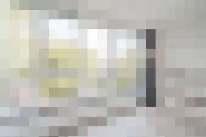 Atlasvlinder 20 Amersfoort thumbnail 20