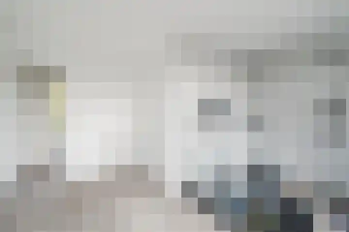 Atlasvlinder 20 Amersfoort thumbnail 25