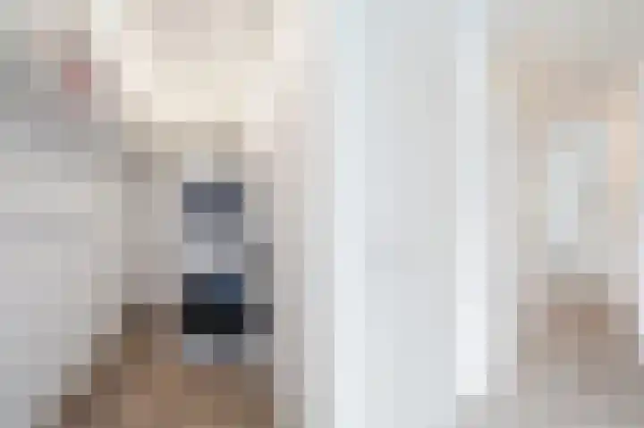 Atlasvlinder 20 Amersfoort thumbnail 26