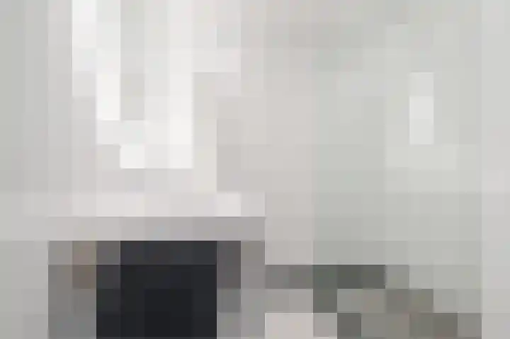 Atlasvlinder 20 Amersfoort thumbnail 27