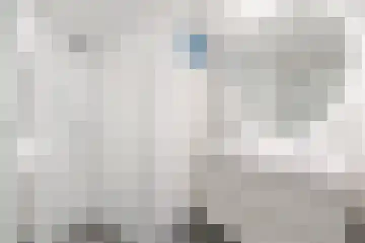 Atlasvlinder 20 Amersfoort thumbnail 28