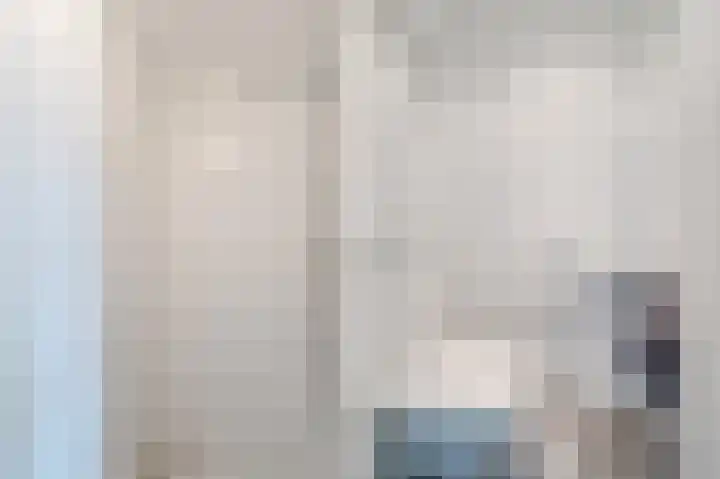 Atlasvlinder 20 Amersfoort thumbnail 29