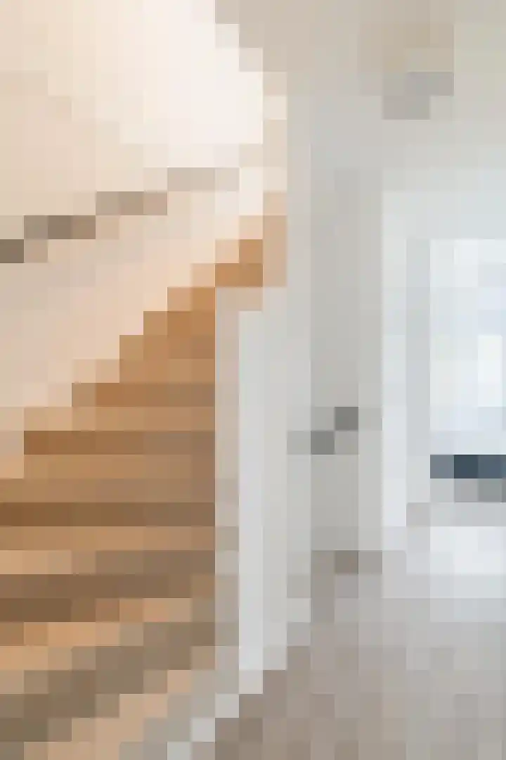 Atlasvlinder 20 Amersfoort thumbnail 30