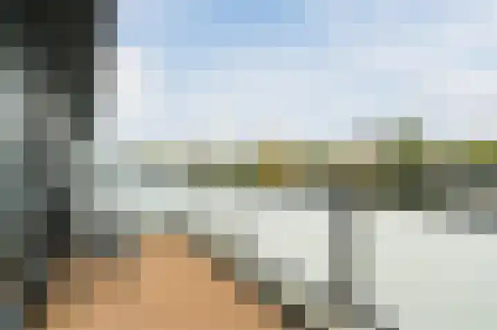 Atlasvlinder 20 Amersfoort thumbnail 32