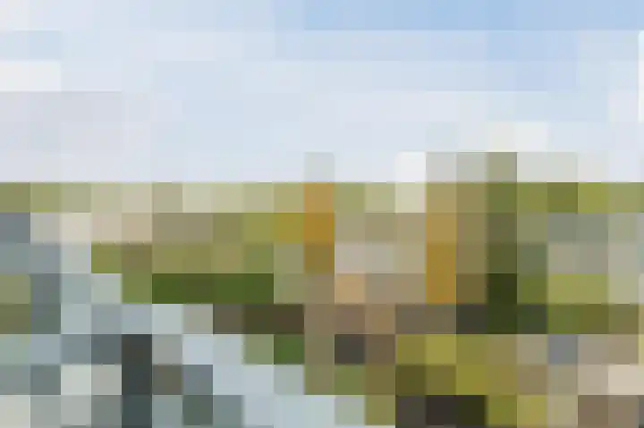 Atlasvlinder 20 Amersfoort thumbnail 33