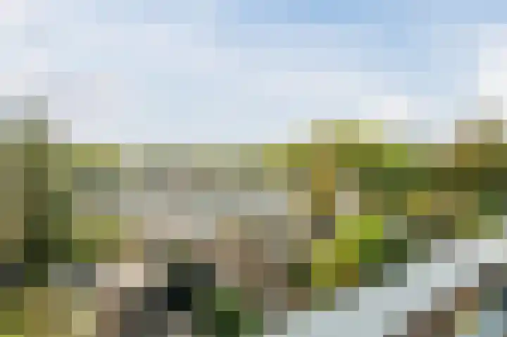 Atlasvlinder 20 Amersfoort thumbnail 34