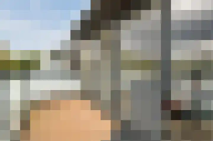 Atlasvlinder 20 Amersfoort thumbnail 35