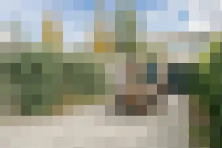 Atlasvlinder 20 Amersfoort thumbnail 36
