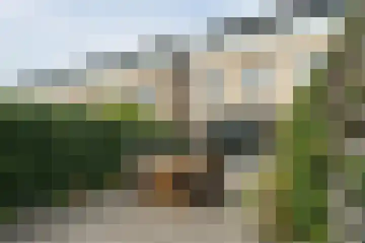 Atlasvlinder 20 Amersfoort thumbnail 40