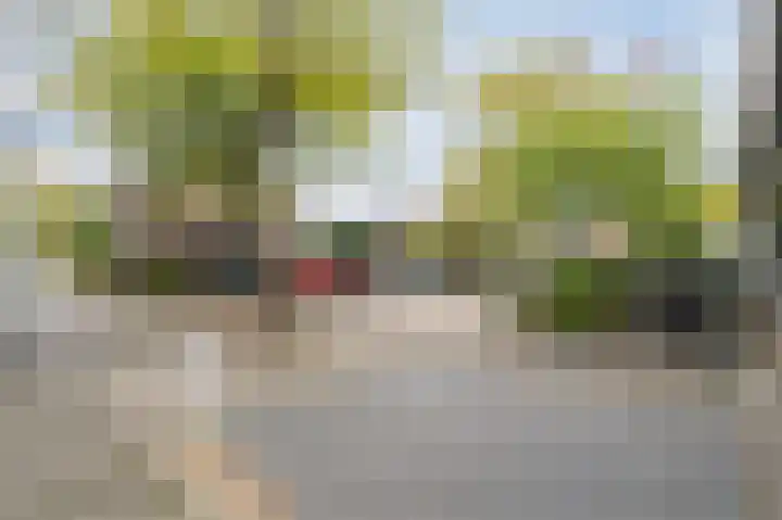 Atlasvlinder 20 Amersfoort thumbnail 43