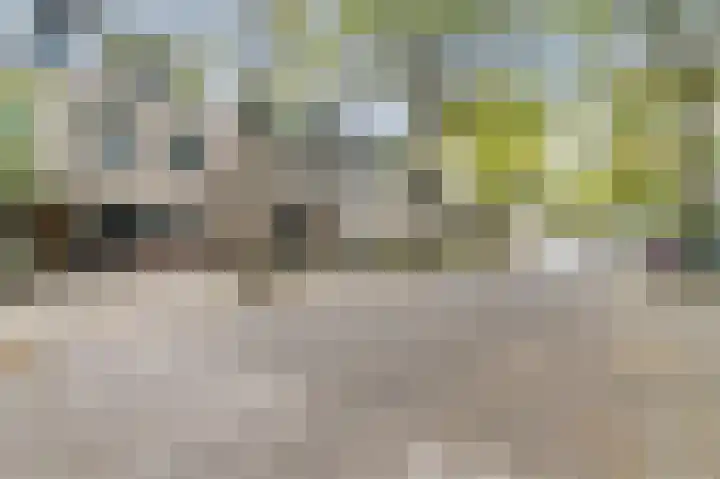 Atlasvlinder 20 Amersfoort thumbnail 45