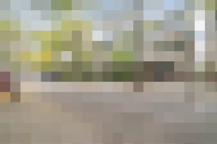 Atlasvlinder 20 Amersfoort thumbnail 46