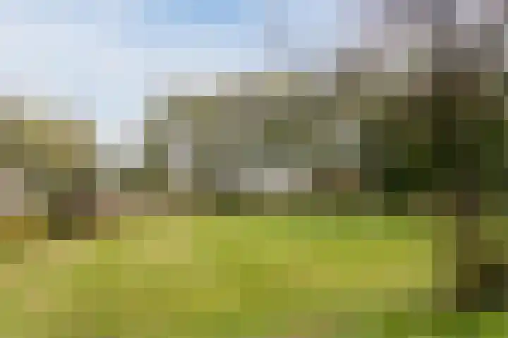 Atlasvlinder 20 Amersfoort thumbnail 47