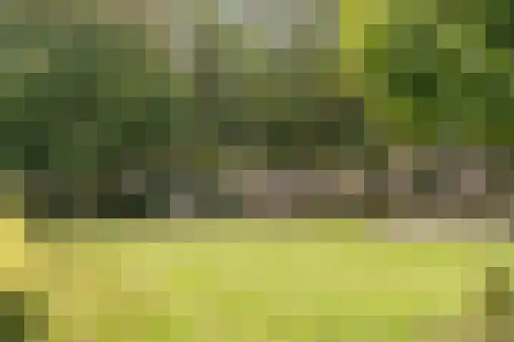 Atlasvlinder 20 Amersfoort thumbnail 48