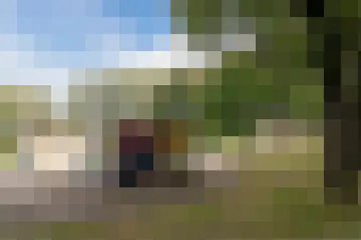 Atlasvlinder 20 Amersfoort thumbnail 49