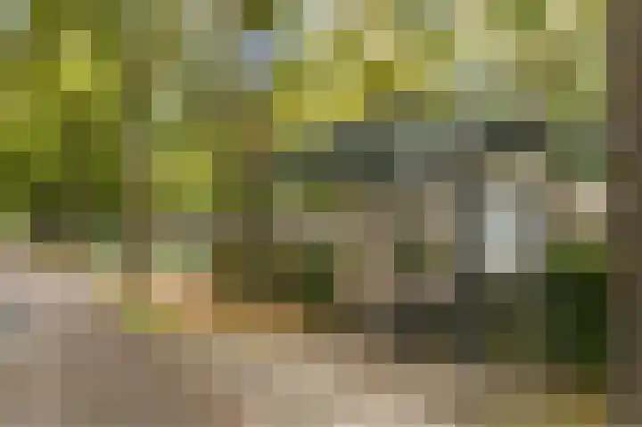 Atlasvlinder 20 Amersfoort thumbnail 50