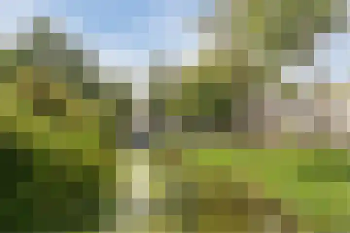 Atlasvlinder 20 Amersfoort thumbnail 51