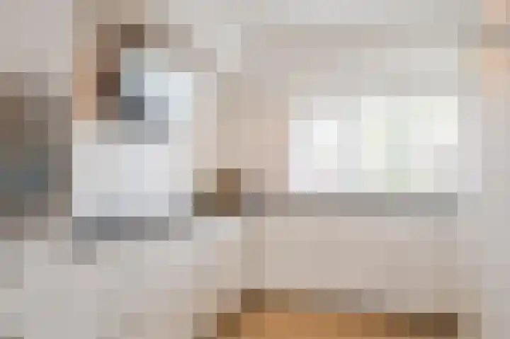 Atlasvlinder 20 Amersfoort thumbnail 8