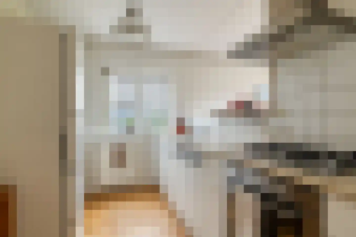 Atlasvlinder 36 Amersfoort thumbnail 12