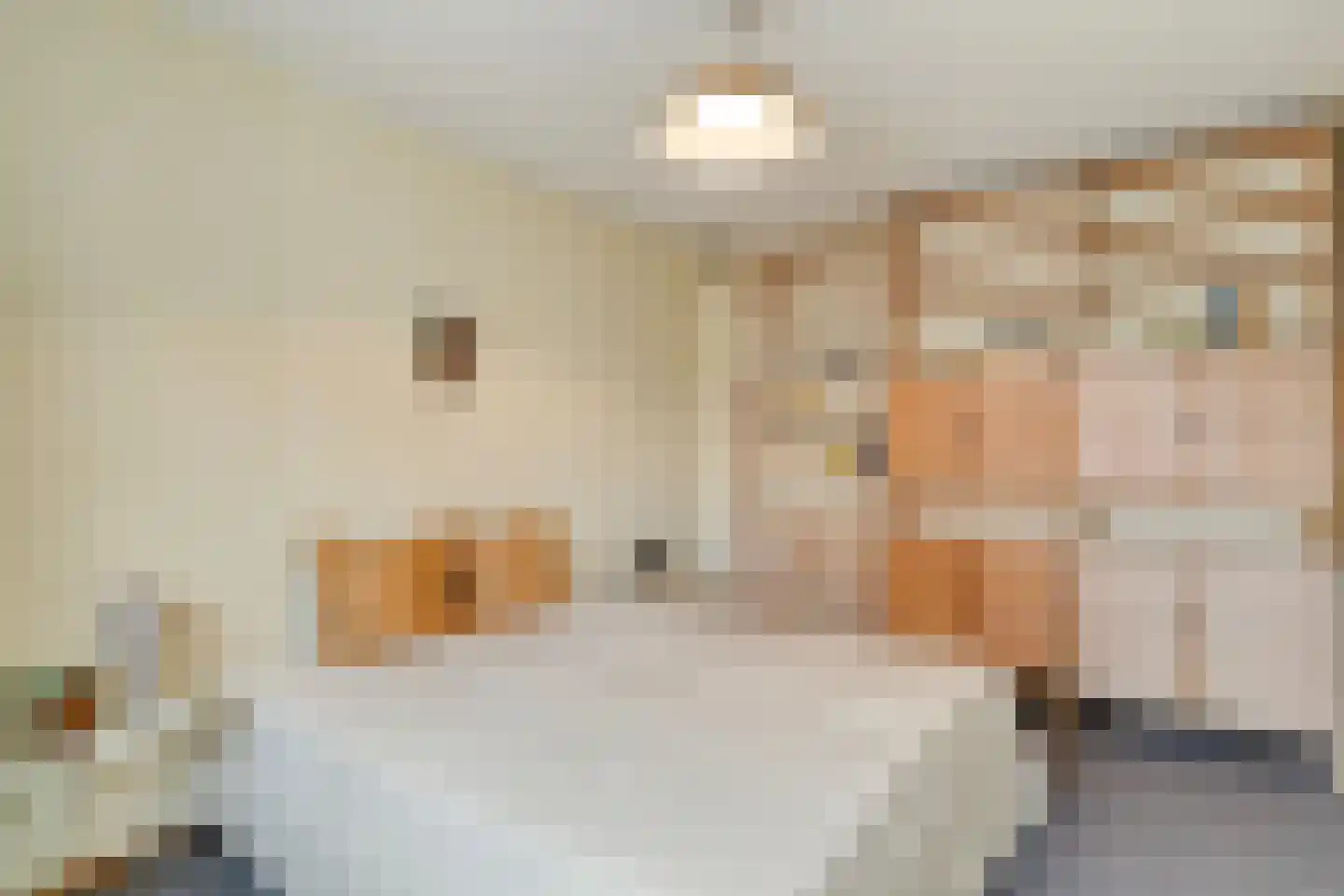 Atlasvlinder 36 Amersfoort thumbnail 18