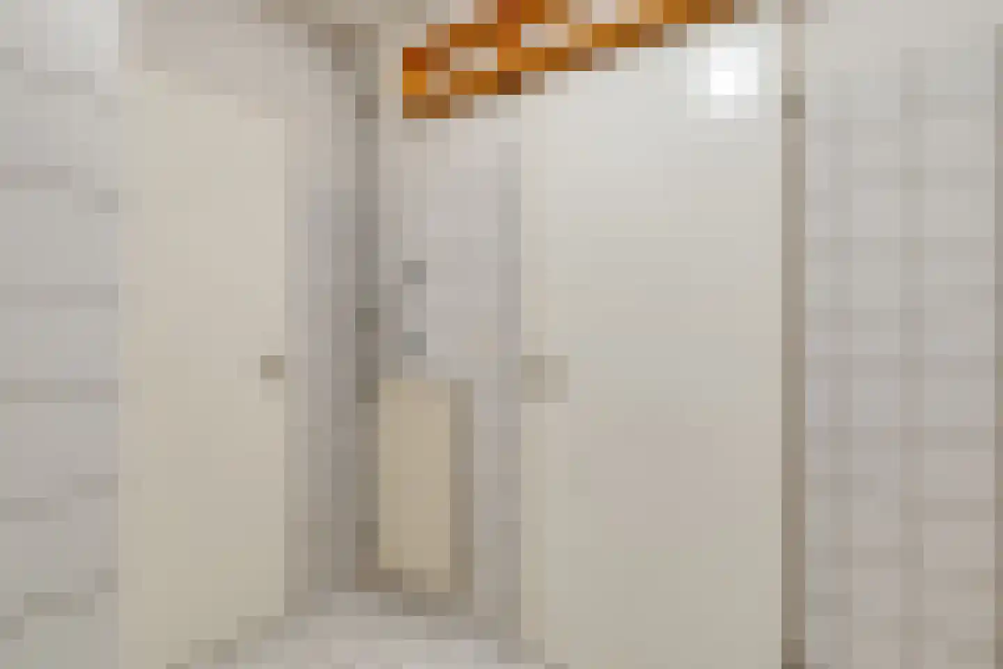 Atlasvlinder 36 Amersfoort thumbnail 19