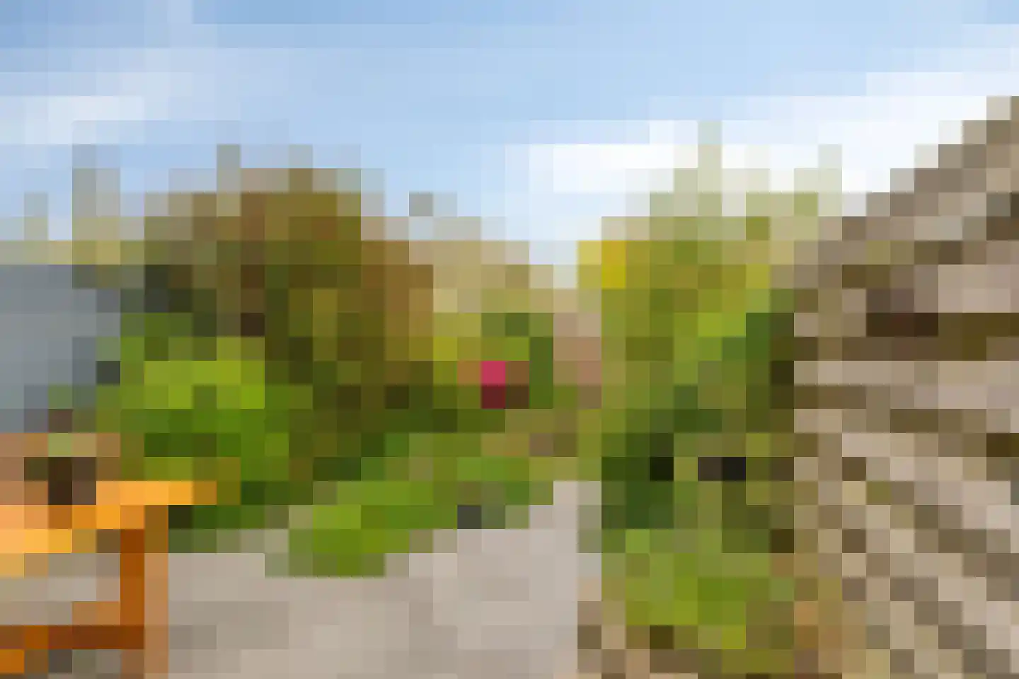 Atlasvlinder 36 Amersfoort thumbnail 29