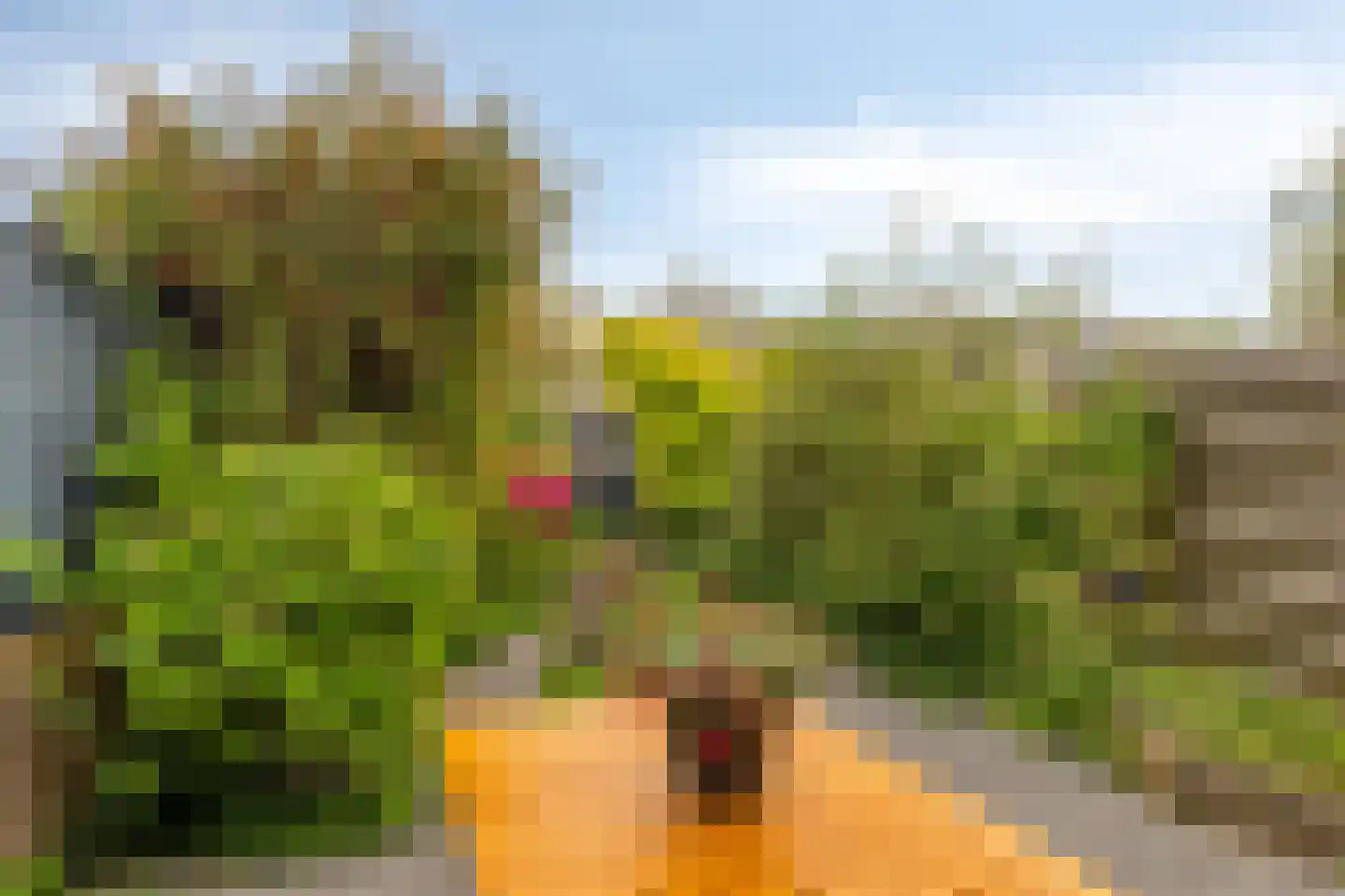 Atlasvlinder 36 Amersfoort thumbnail 30
