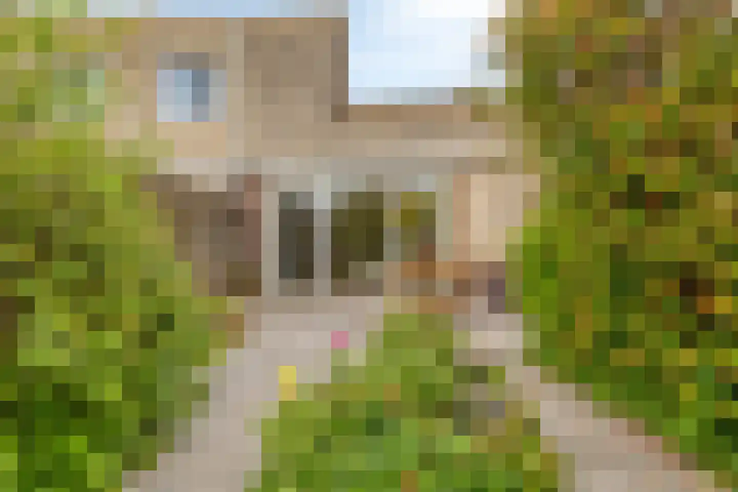 Atlasvlinder 36 Amersfoort thumbnail 32
