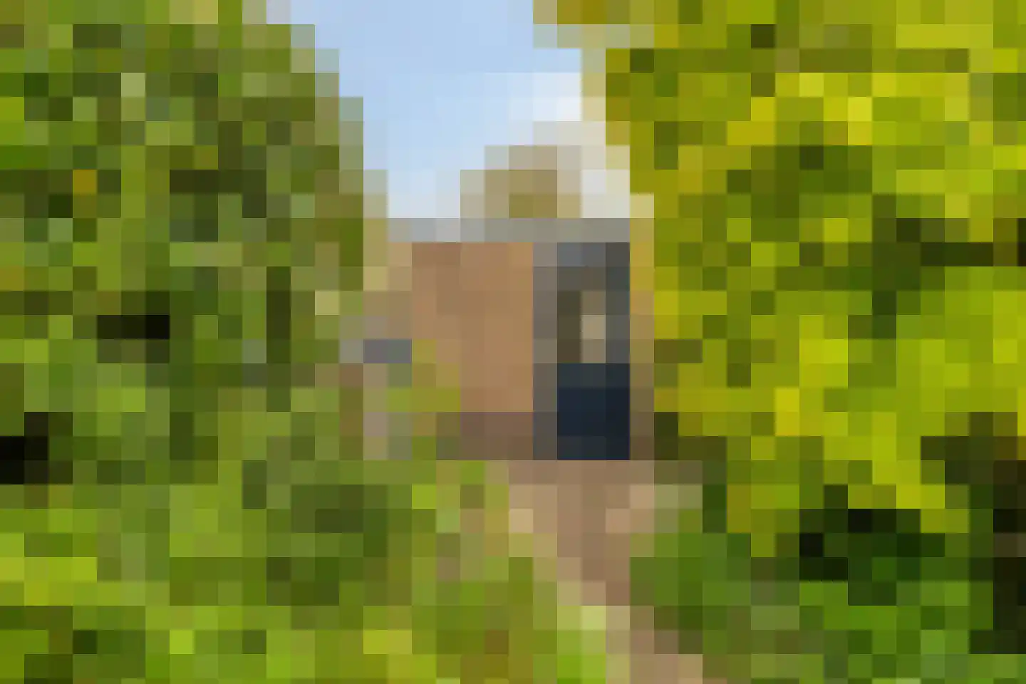 Atlasvlinder 36 Amersfoort thumbnail 33