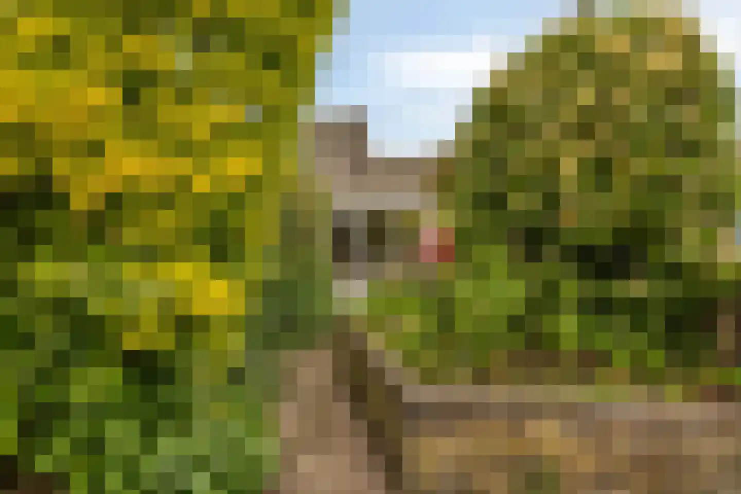Atlasvlinder 36 Amersfoort thumbnail 35