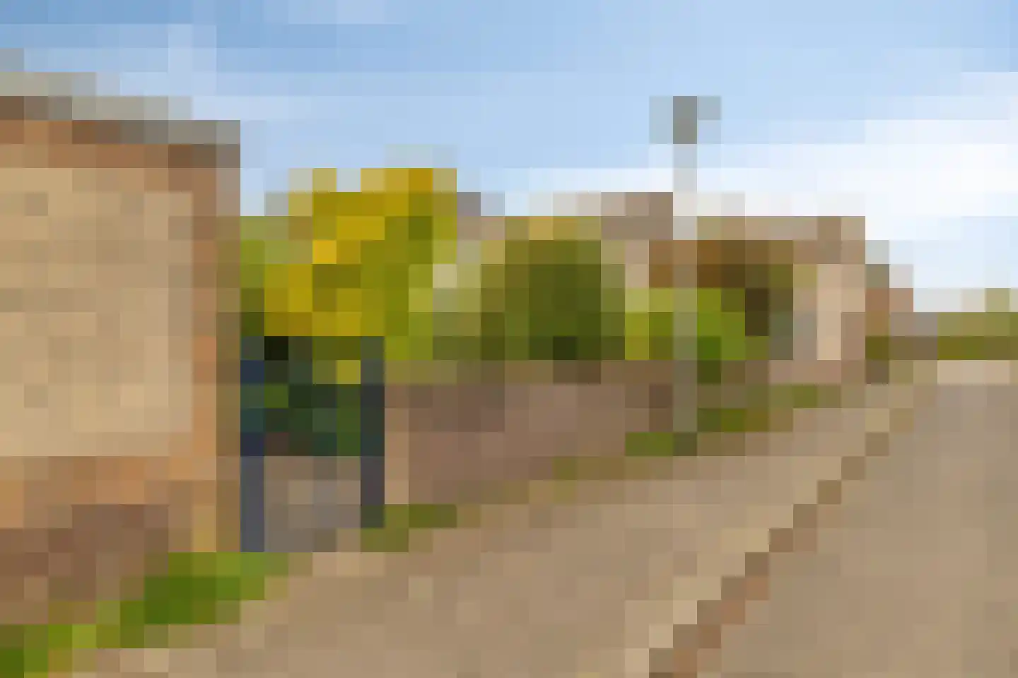 Atlasvlinder 36 Amersfoort thumbnail 36